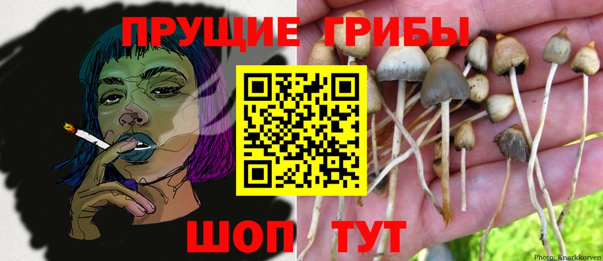 Можайск  Галлюциногенные грибы GOLDEN TEACHER  Вход с VPN  Псилоцибиновые грибы Cubensis 